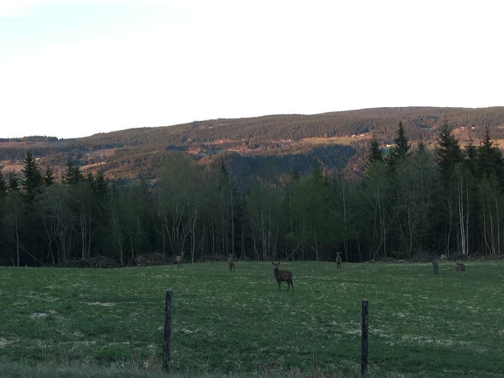 Вилла Kvitfjell Ranch Экстерьер фото