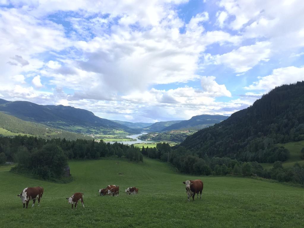 Вилла Kvitfjell Ranch Экстерьер фото